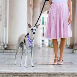 Ferplast Alle Anzeigen NIKITA P FASHION