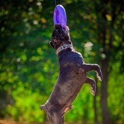 Ferplast PULLER MAXI