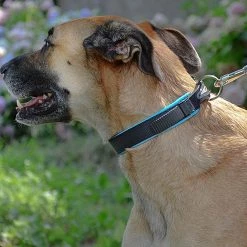 Ferplast Alle Anzeigen ERGOFLUO C