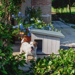 Ferplast Alle Anzeigen ARGO