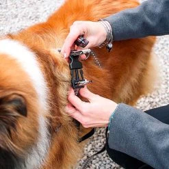 Ferplast CRICKET P Alle Anzeigen