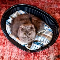 Ferplast Alle Anzeigen SCOTT