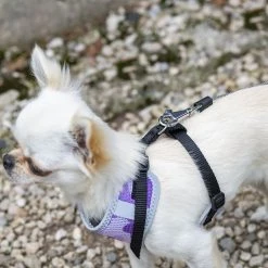 Ferplast Alle Anzeigen FLIPPY ONE CORD MINI