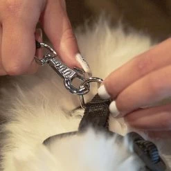 Ferplast WITH ME PRO Alle Anzeigen