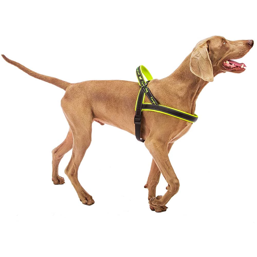 Ferplast Alle Anzeigen SPORT DOG P 47 Ferplast Alle Anzeigen SPORT DOG P