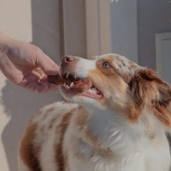 Ferplast GOODBITE NATURAL BEEF BONE