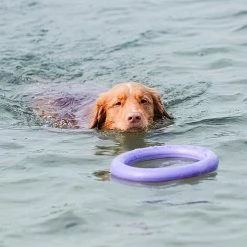 Ferplast PULLER STANDARD