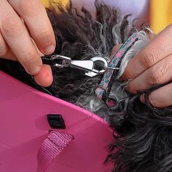 Ferplast WITH-ME SMALL