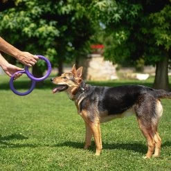 Ferplast PULLER MIDI 16 Ferplast PULLER MIDI