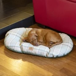 Ferplast Alle Anzeigen SCOTT