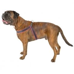 Ferplast AGILA FLUO 3-9