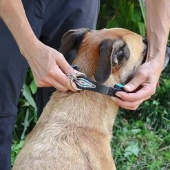 Ferplast Alle Anzeigen ERGOFLUO C