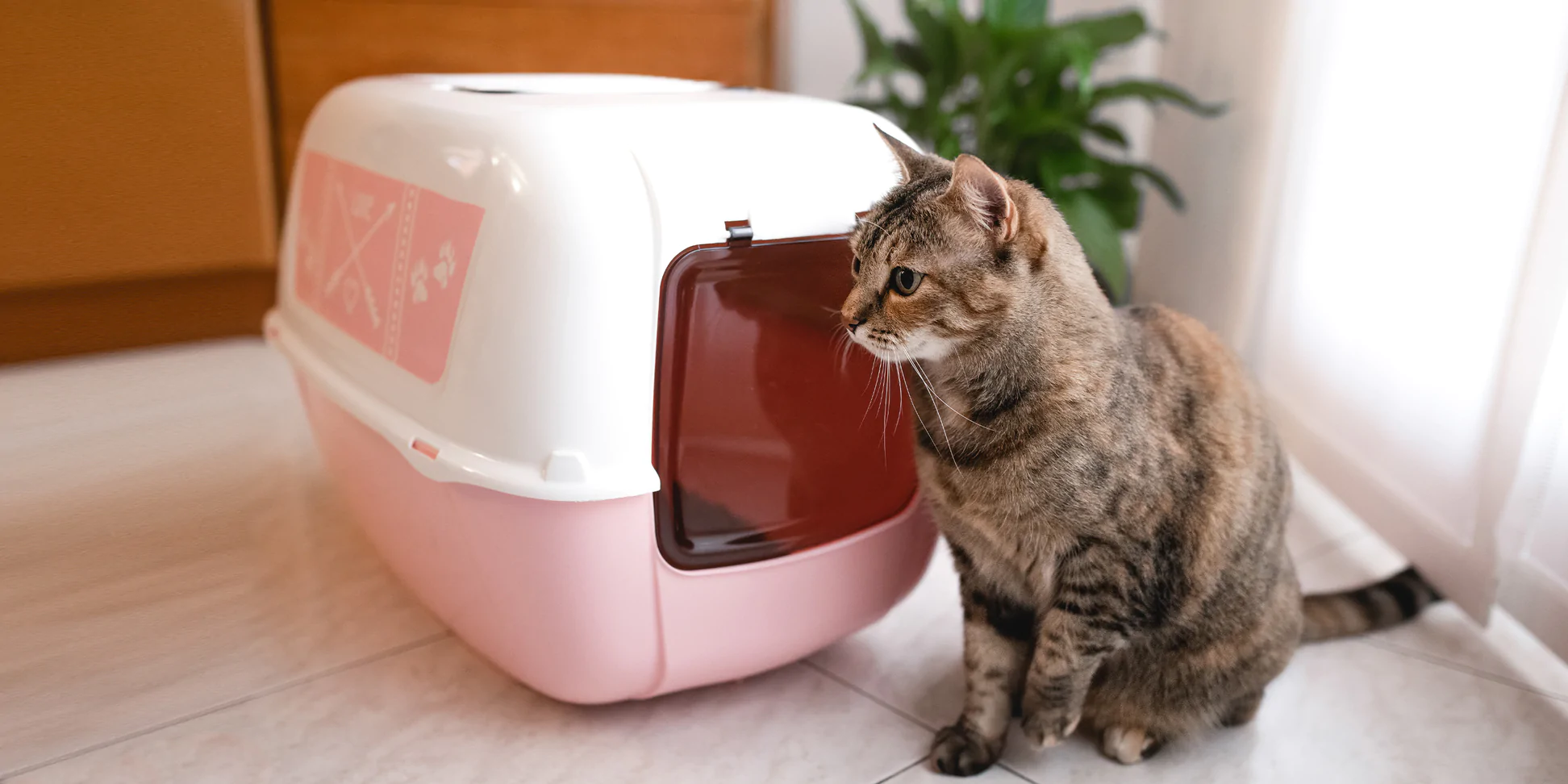 Ferplast Deutschland Verkaufsladen 1 Ferplast Deutschland Verkaufsladen -Ferplast Deutschland Verkaufsladen BA 3000x1500px PRIMA